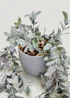 Trailing Plant in Grey Pot Image 2