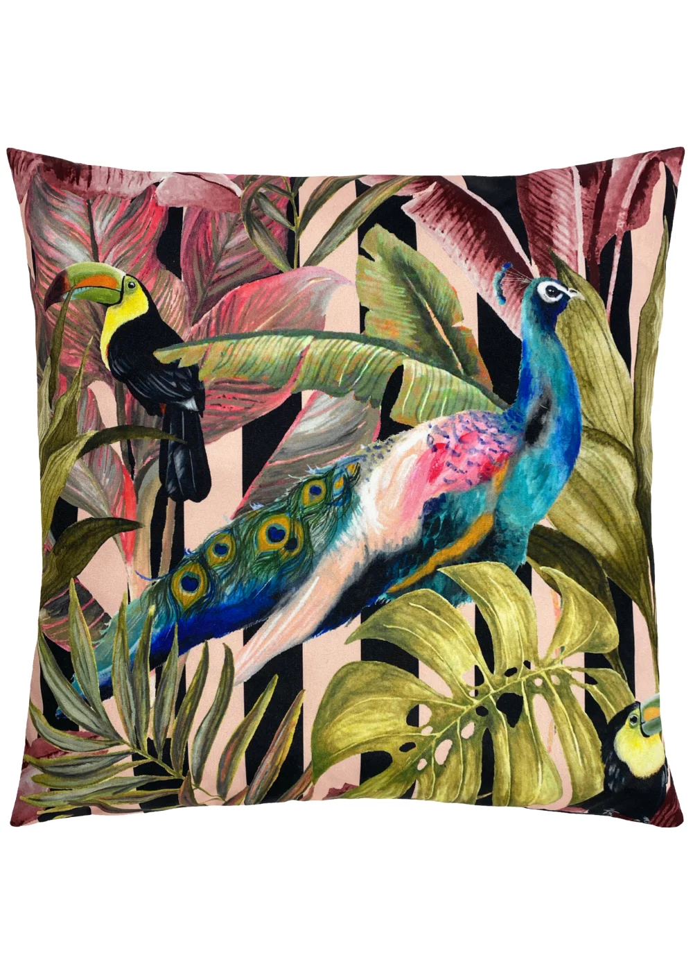 Evans Lichfield Toucan & Peacock Outdoor Filled Cushion (43cm x 43cm x 8cm) - 43W X 43D Image 1
