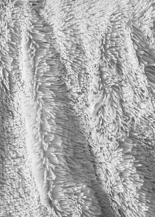 Catherine Lansfield Cuddly Deep Pile Blanket Throw - One Size Image 3