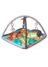 Red Kite Play Gym Wild Safari (49cm x 79cm x 79cm) - One Size Image 1