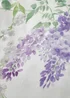 Dreams & Drapes Wisteria Duvet Set - Double Image 4