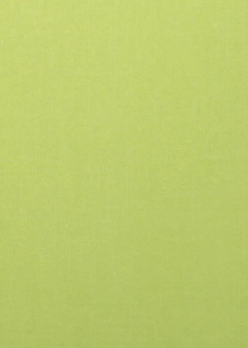 Fusion Plain Dye Filled Lime Green Outdoor Cushion - 43W X 43D Image 3