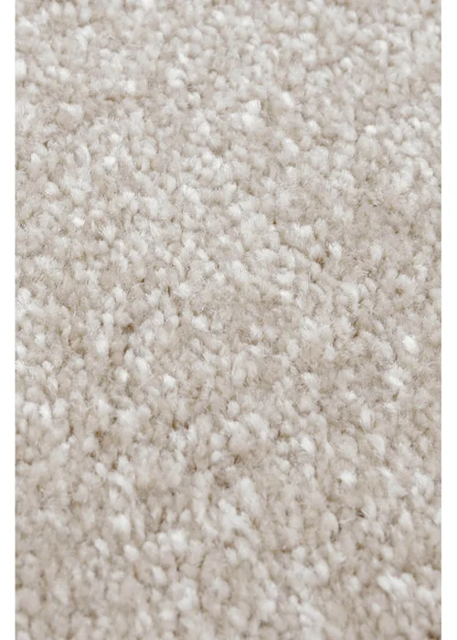 Relay Classic Natural Beige Rug - 100 x 150 Image 4