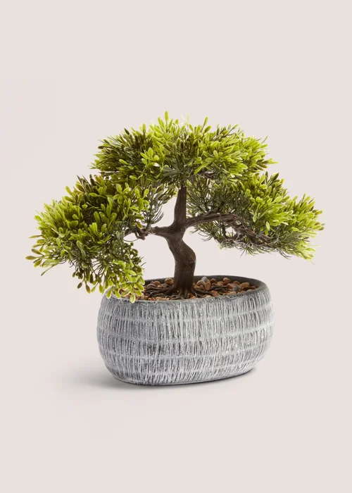 Loft Bonsai Tree Image 1