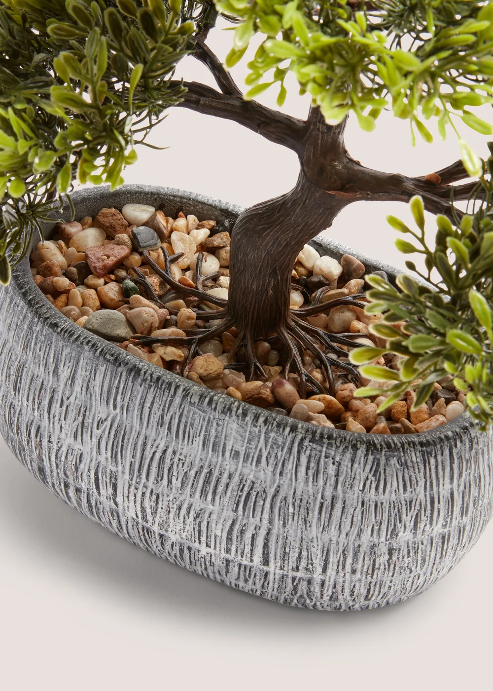 Loft Bonsai Tree Image 2