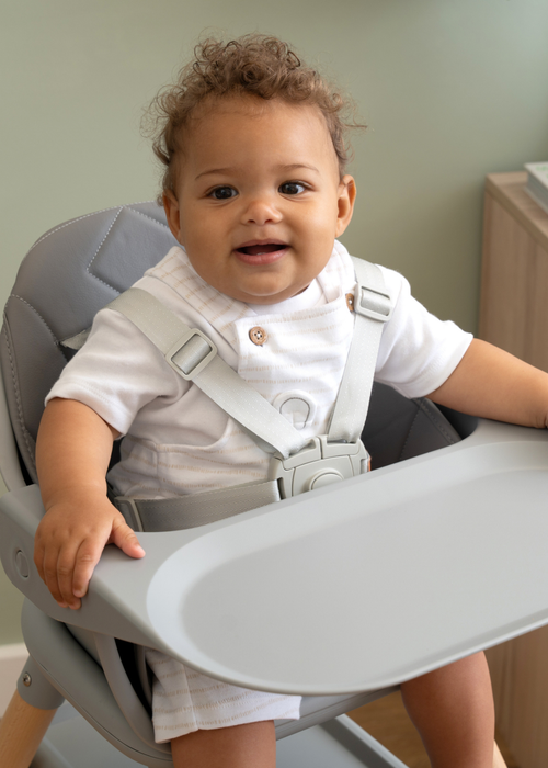 Clair de Lune High Chair - One Size Image 3