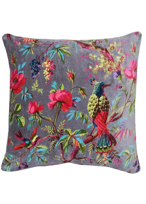 Paoletti Paradise Velvet Filled Cushion (50cm x 50cm x 8cm) - One Size Image 1