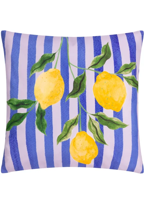 furn. Blue Lemons Filled Outdoor Cushions (43cm x 43cm x 8cm) - One Size Image 2