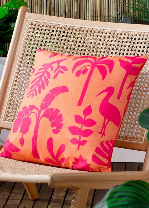 furn. Coral Marula Filled Outdoor Cushions (43cm x 43cm x 8cm) - One Size Image 1