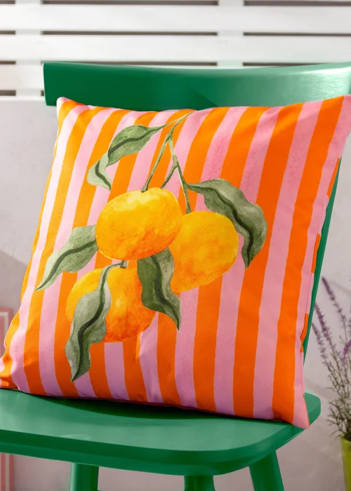 furn. Oranges Filled Outdoor Cushion (43cm x 43cm x 8cm) - One Size Image 1