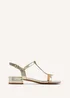 Linzi Lavish Gold Lizard T-Bar Looped Low Block Sandal - Size 3 Image 2