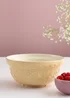 Mason Cash In the Meadow S30 Daffodil Mixing Bowl (21cm) - One Size Image 2