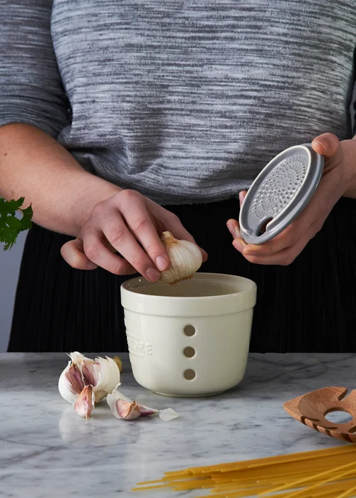 Mason Cash Innovative Kitchen Garlic Store & Grater - One Size Image 4