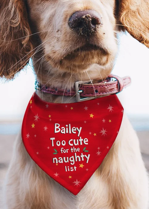 Personalised Memento Company Red 'Too cute for the naughty list' Dog Bandana - One Size Image 2