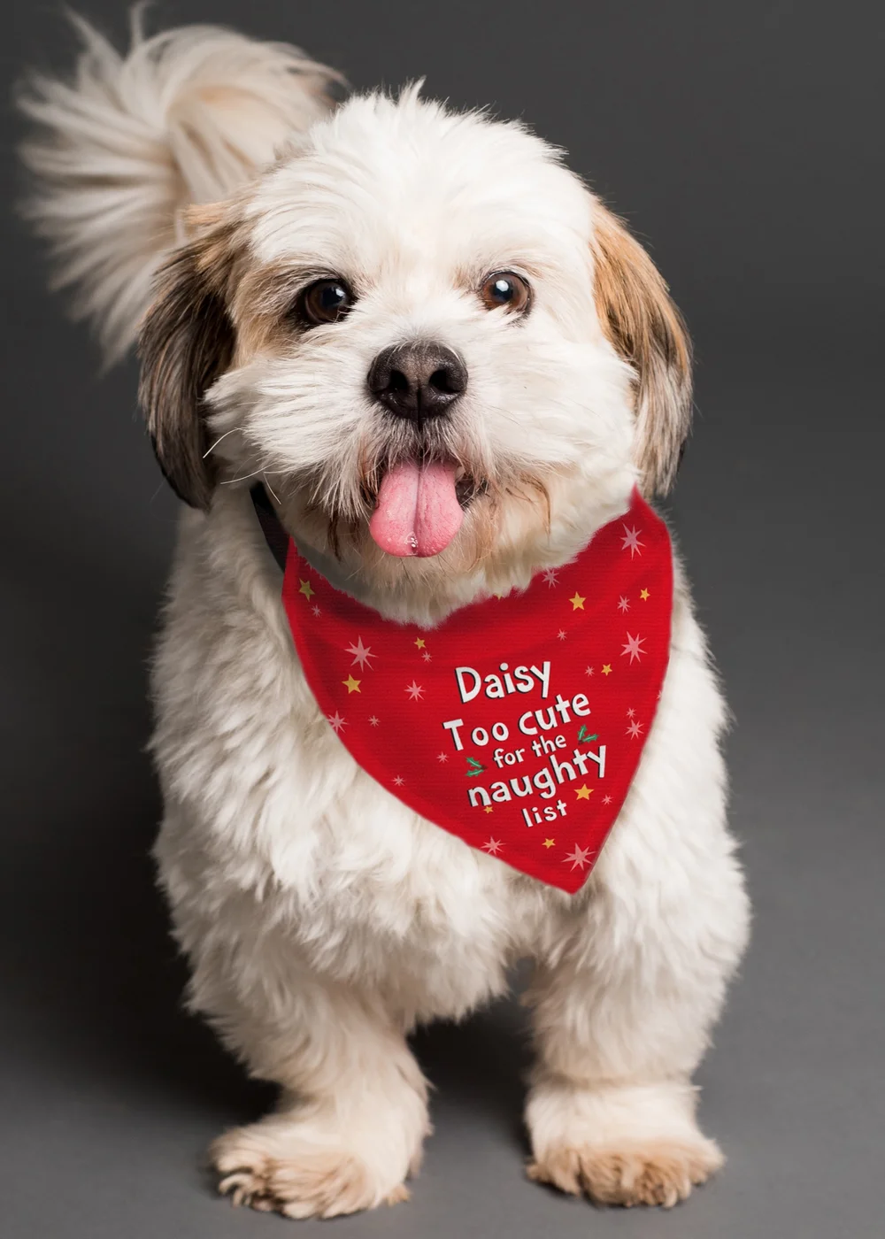 Personalised Memento Company Red 'Too cute for the naughty list' Dog Bandana - One Size Image 3