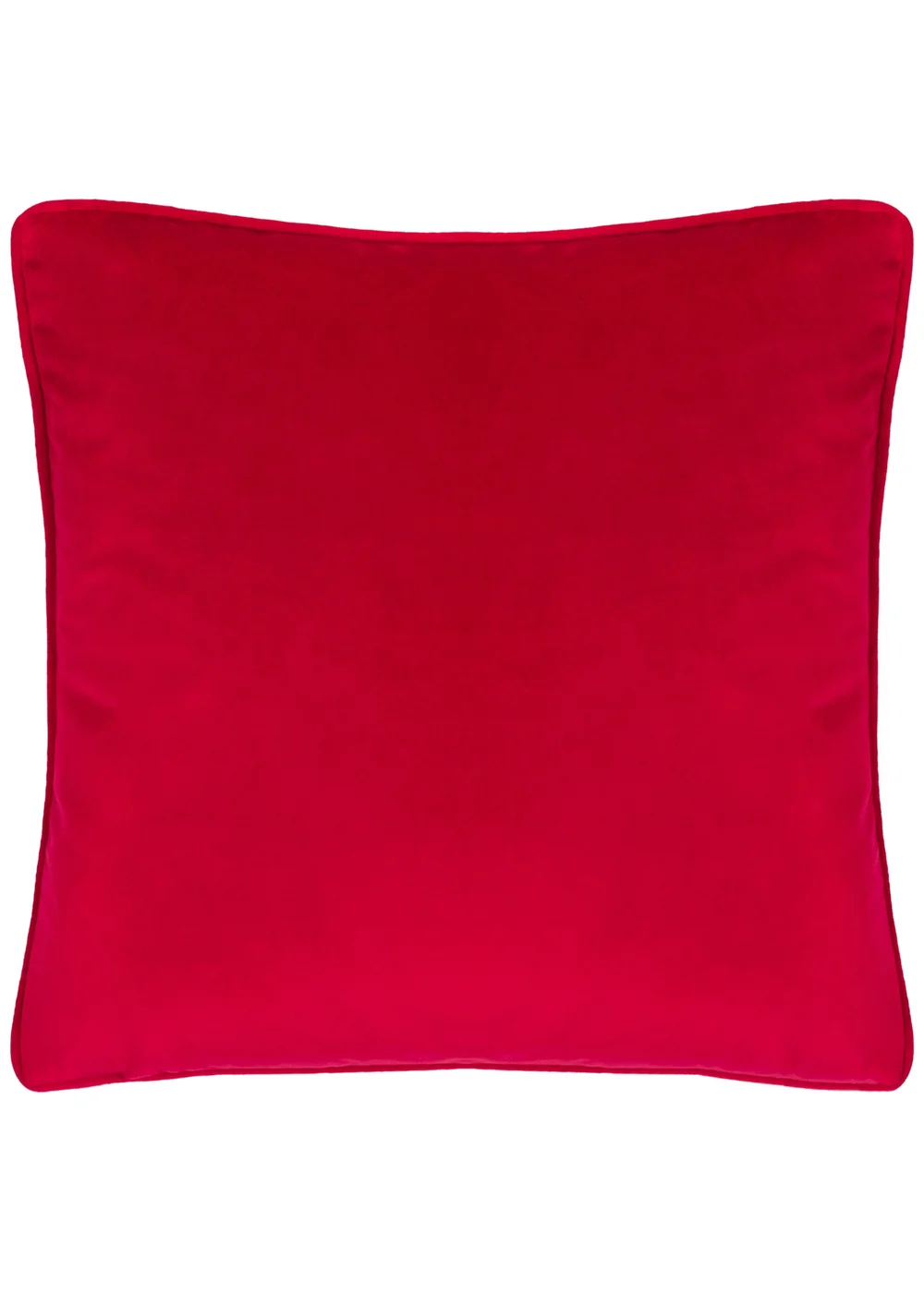 Evans Lichfield Winter Garden Filled Cushion (45cm x 45cm) - One Size Image 2
