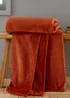 Catherine Lansfield Extra Large Raschel Velvet Touch Blanket Throw (200x240cm) - One Size Image 1