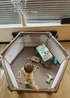 Dreambaby Grey Explore Fabric 6-Sided Playpen With Padded Frame - One Size Image 2