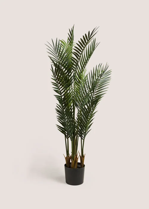 Dark Palm Tree Image 1