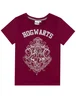 Vanilla Underground Harry Potter Girls Purple Hogwarts Crest Pyjama Set (5 - 14 Years) - Age 11-12 Years Image 2