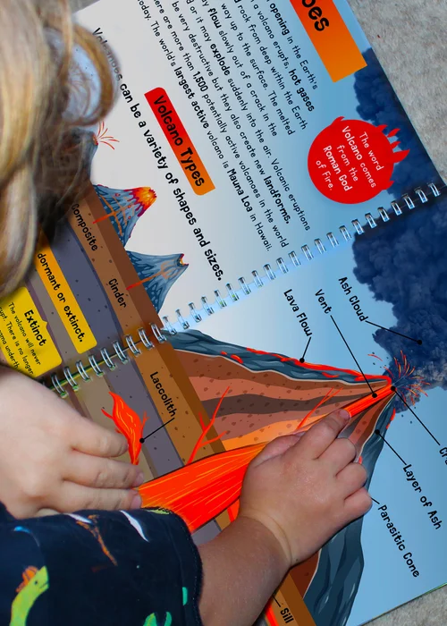 Personalised Memento Company Childrens Encyclopedia - One Size Image 3