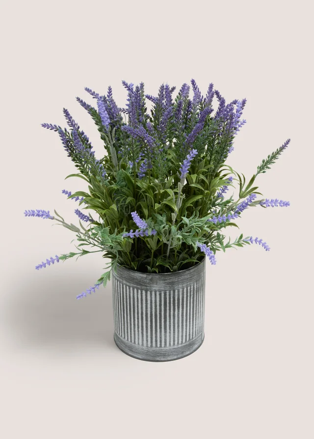 Lavender In Metal Pot