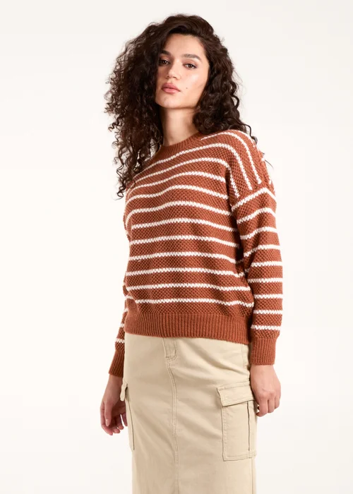 Blue Vanilla Brown Textured Stripe Jumper - Medium/Large Image 1