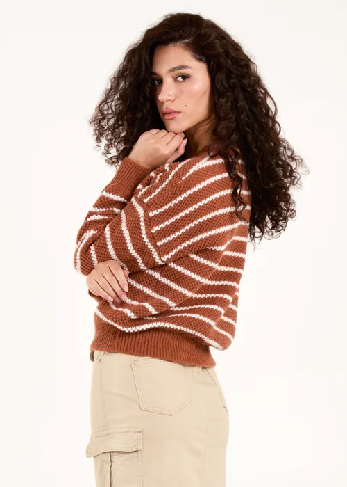 Blue Vanilla Brown Textured Stripe Jumper - Medium/Large Image 2