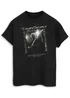 David Gilmour Anfiteatro Scavi Di Pompei Black T-Shirt - 5XL Image 1