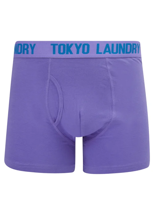 Tokyo Laundry Pink 6-Pack Cotton Boxers - S Image 5