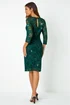 Roman Green Sequin Lace Ruched Stretch Dress - 12 Image 3