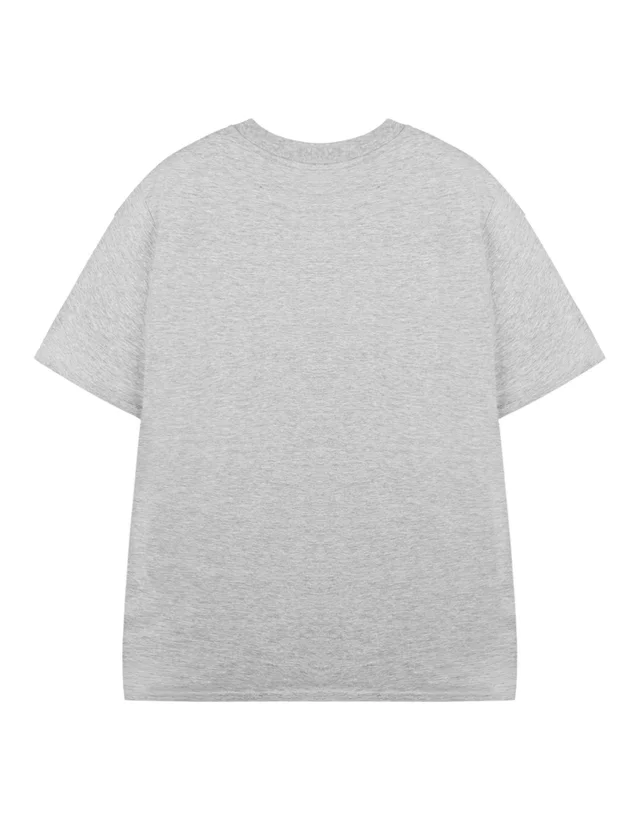 Vanilla Underground Roald Dahl Charlie & The Chocolate Factory Unisex Kids Grey T-Shirt (3-14 Years)