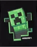 Vanilla Underground Minecraft Creeper Print at Front Big Kids Black Hoodie (5-14 Years) - 11-12 Yrs Image 5