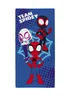 Spidey and His Amazing Friends Blue Towel - 70 X 140 Image 1