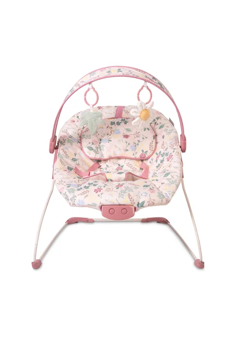Red Kite Cozy Bounce Rose & Ivy Bounce Chair - One Size Image 1