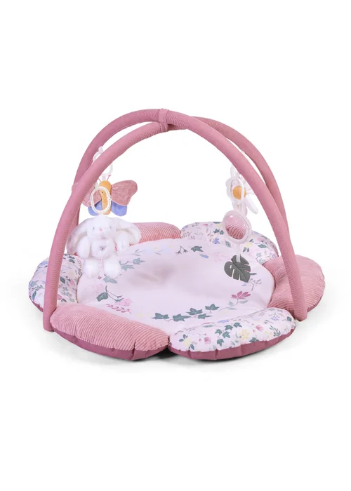 Red Kite Rose & Ivy Play Gym - One Size Image 1