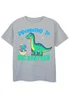 Ada & Ted Promoted To Big Brother Boys Heather Grey T-Shirt - 9-11 Yrs Image 1
