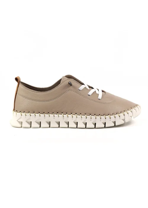 Lunar Taupe St Austell Plimsoll - Size 8 Image 3