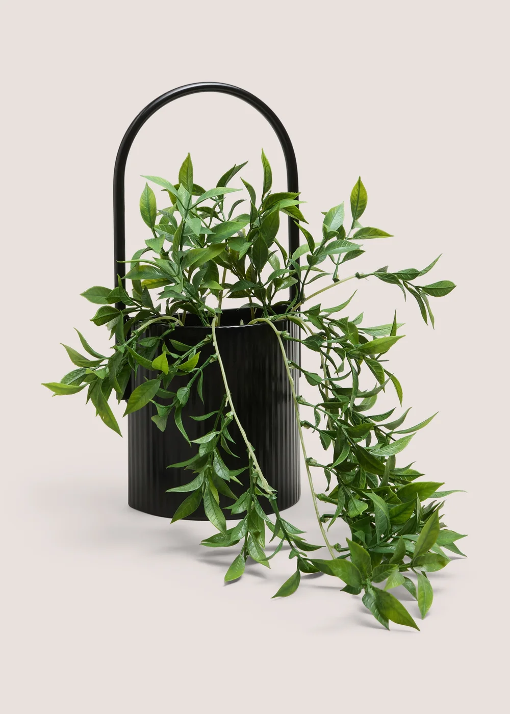 Black Metal Shelf Trailing Plant Image 1