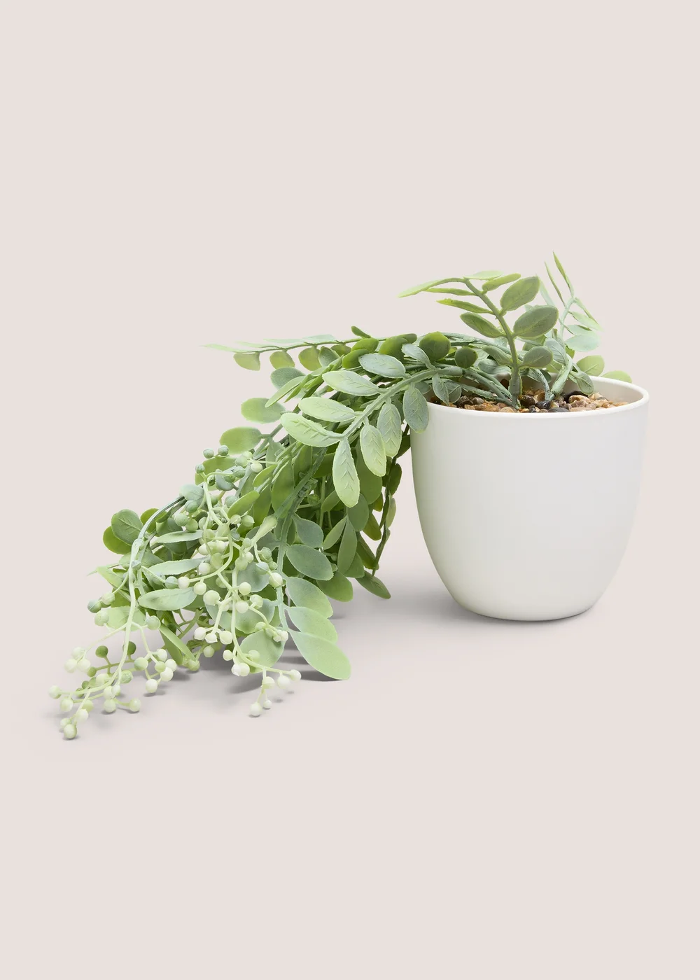 Trailing Plant In White Pot Image 1