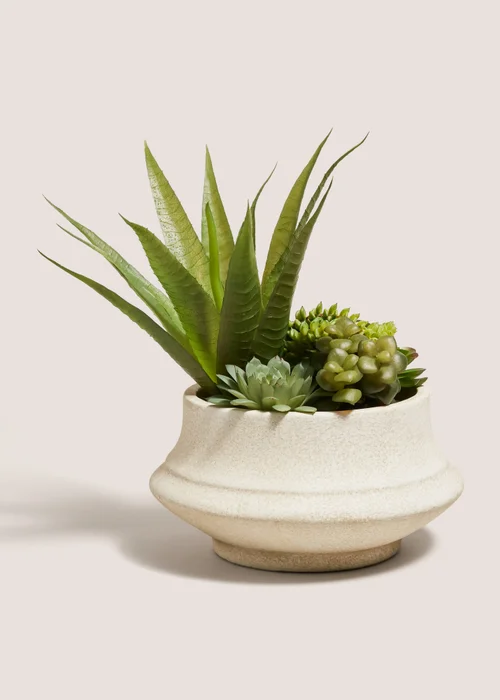 Agave In Cream Squat Pot Image 1