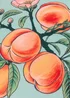 furn. Anemone Peaches Printed Outdoor Outdoor Cushion - One Size Image 4
