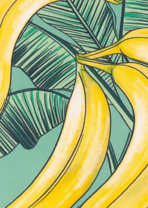 furn. Anemone Bananas Printed Outdoor Outdoor Cushion - One Size Image 4