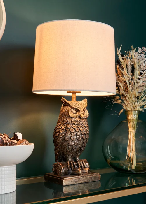 BHS Lighting Ollie Owl Bronze Table Lamp (46cm x 27cm) - One Size Image 3