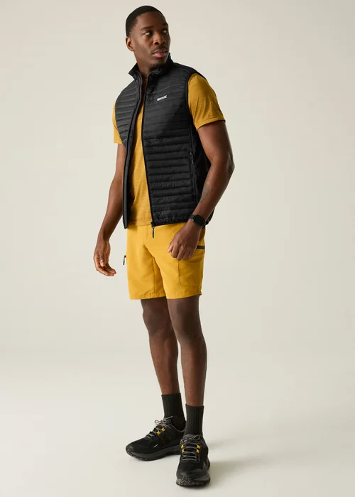 Regatta Black Andreson Hybrid Water-Repellent, Lightweight Bodywarmer - S Image 3