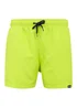 Regatta Citron Leaf Print Mawson III Swim Shorts - S Image 5