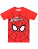 Vanilla Underground Marvel Spiderman Kids 2 Piece Swim Set (2-10 Years) - Age 4-5 Years Image 3