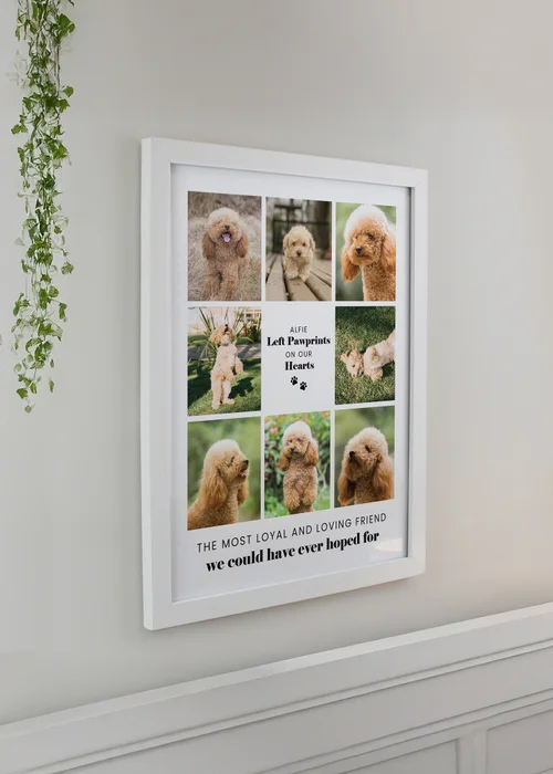 Personalised Memento Company Pet Multi Photo Upload White Framed Print - One Size Image 1