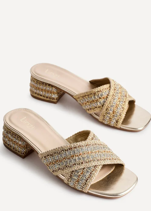 Linzi Zadie Gold Raffia Embellished Block Heel Mule Sandal - Size 5 Image 4