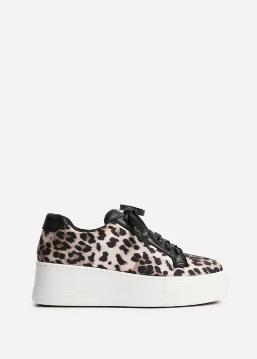 Linzi Twyla Leopard Print Platform Trainer - Size 7 Image 2